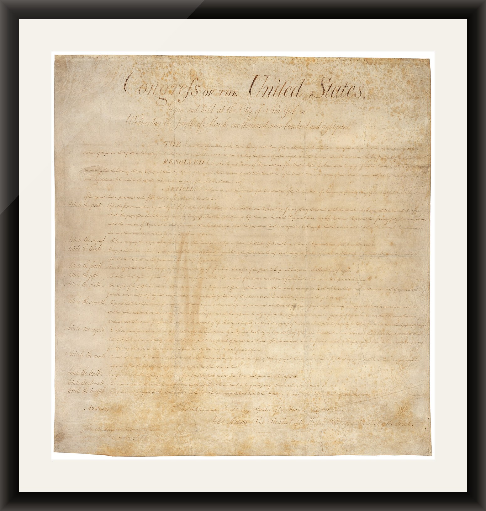 The Bill of Rights