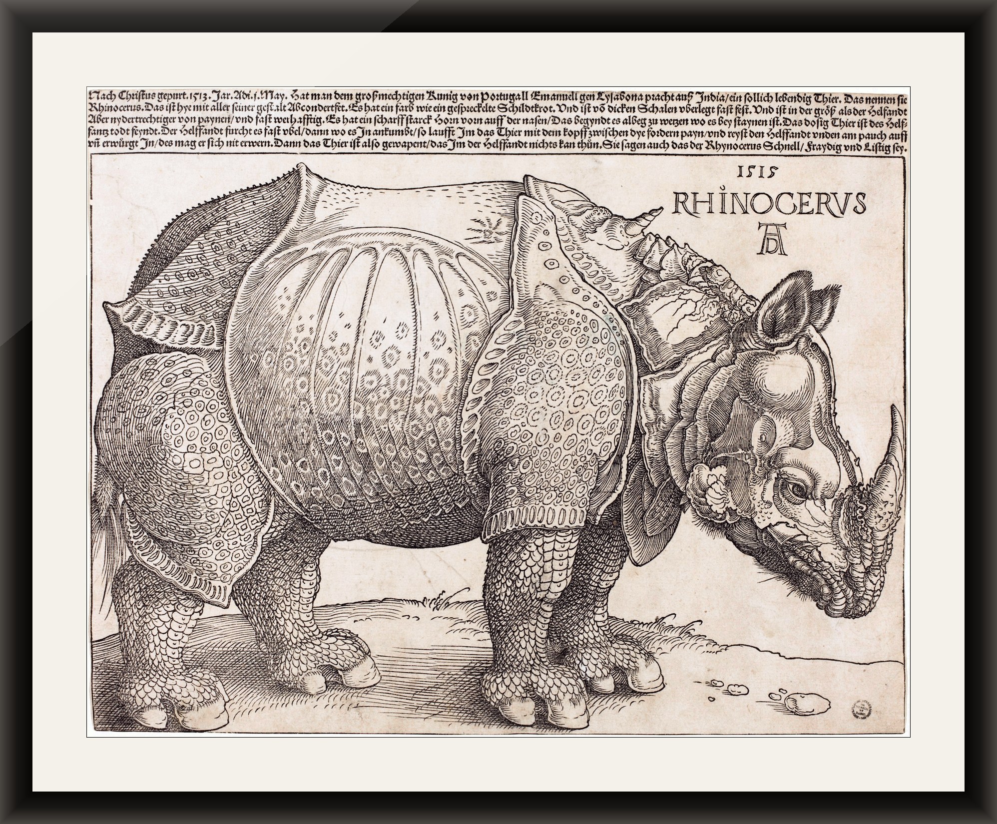 Dürer's Rhinoceros